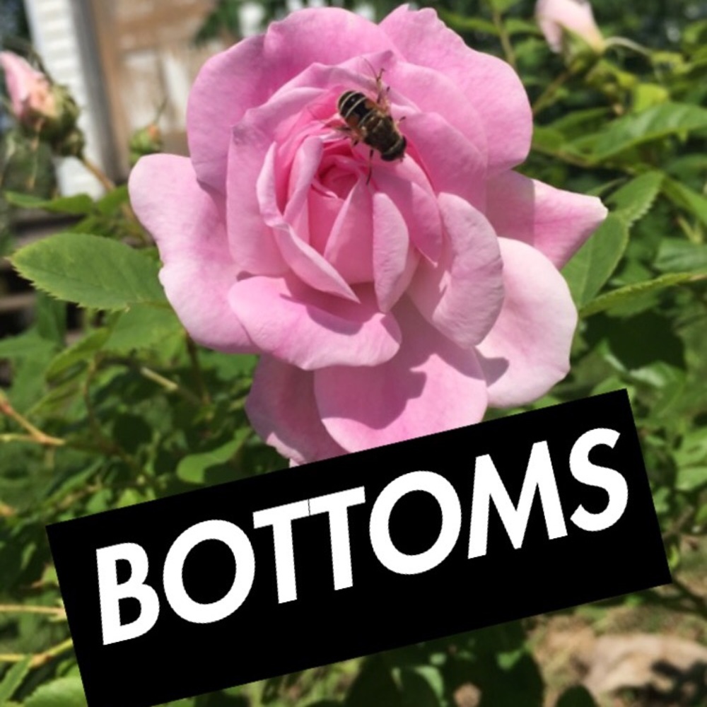 I discount bundle orders!